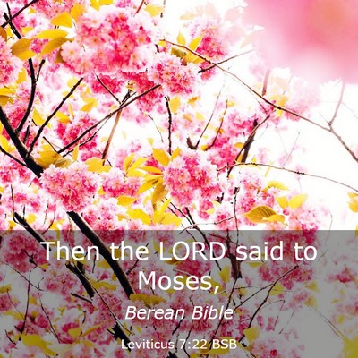 Picture 03 - Leviticus 7:22 BSB - Then the LORD said to - Bible Verse Picture