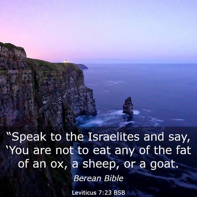 Picture 03 - Leviticus 7:23 BSB - “Speak to the Israelites and say, ‘You are - Bible Verse Picture