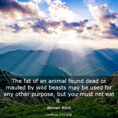 Picture 03 - Leviticus 7:24 BSB - The fat of an animal found dead or mauled by wild - Bible Verse Picture