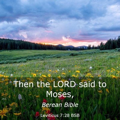 Picture 03 - Leviticus 7:28 BSB - Then the LORD said to - Bible Verse Picture