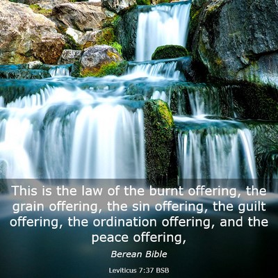 Picture 03 - Leviticus 7:37 BSB - This is the law of the burnt offering, the grain - Bible Verse Picture