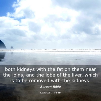 Picture 03 - Leviticus 7:4 BSB - both kidneys with the fat on them near the loins, - Bible Verse Picture