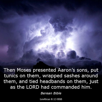 Picture 03 - Leviticus 8:13 BSB - Then Moses presented Aaron’s sons, put tunics - Bible Verse Picture