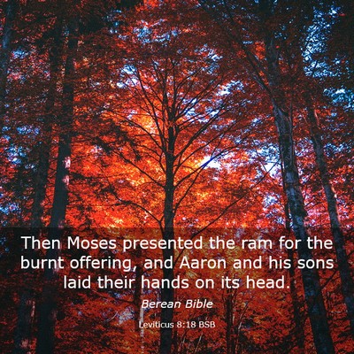 Picture 03 - Leviticus 8:18 BSB - Then Moses presented the ram for the burnt - Bible Verse Picture