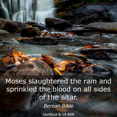 Picture 03 - Leviticus 8:19 BSB - Moses slaughtered the ram and sprinkled the blood - Bible Verse Picture