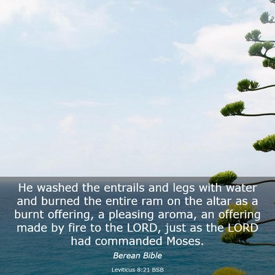 Picture 03 - Leviticus 8:21 BSB - He washed the entrails and legs with water and - Bible Verse Picture