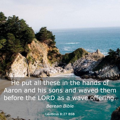 Picture 03 - Leviticus 8:27 BSB - He put all these in the hands of Aaron and his - Bible Verse Picture