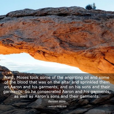 Picture 03 - Leviticus 8:30 BSB - Next, Moses took some of the anointing oil and - Bible Verse Picture