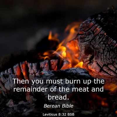Picture 03 - Leviticus 8:32 BSB - Then you must burn up the remainder of the meat - Bible Verse Picture