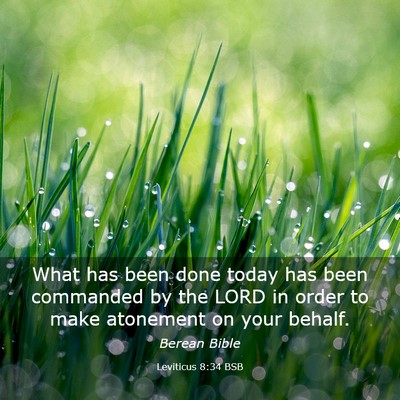 Picture 03 - Leviticus 8:34 BSB - What has been done today has been commanded by - Bible Verse Picture