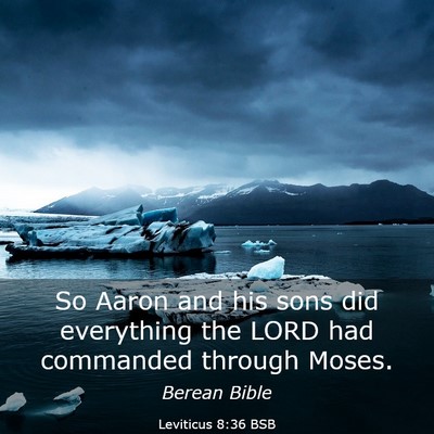 Picture 03 - Leviticus 8:36 BSB - So Aaron and his sons did everything the LORD had - Bible Verse Picture