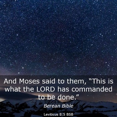 Picture 03 - Leviticus 8:5 BSB - And Moses said to them, “This is what the LORD - Bible Verse Picture