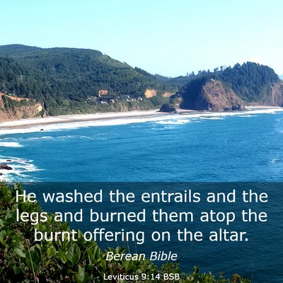 Picture 03 - Leviticus 9:14 BSB - He washed the entrails and the legs and burned - Bible Verse Picture