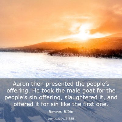 Picture 03 - Leviticus 9:15 BSB - Aaron then presented the people’s offering. He - Bible Verse Picture