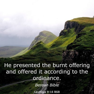 Picture 03 - Leviticus 9:16 BSB - He presented the burnt offering and offered it - Bible Verse Picture