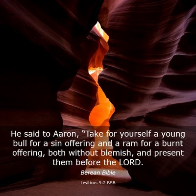 Picture 03 - Leviticus 9:2 BSB - He said to Aaron, “Take for yourself a young - Bible Verse Picture