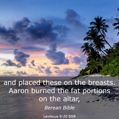 Picture 03 - Leviticus 9:20 BSB - and placed these on the breasts. Aaron burned the - Bible Verse Picture
