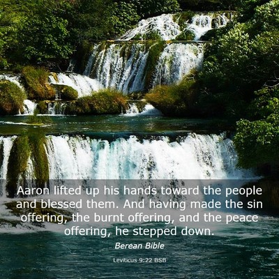 Picture 03 - Leviticus 9:22 BSB - Aaron lifted up his hands toward the people and - Bible Verse Picture