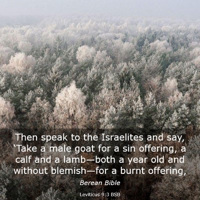Picture 03 - Leviticus 9:3 BSB - Then speak to the Israelites and say, ‘Take a - Bible Verse Picture