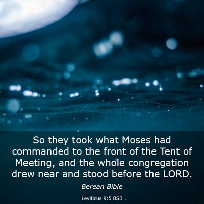 Picture 03 - Leviticus 9:5 BSB - So they took what Moses had commanded to the - Bible Verse Picture