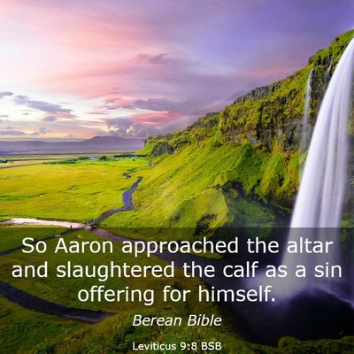 Picture 03 - Leviticus 9:8 BSB - So Aaron approached the altar and slaughtered the - Bible Verse Picture