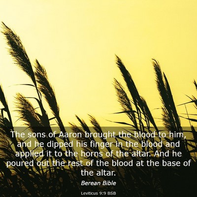 Picture 03 - Leviticus 9:9 BSB - The sons of Aaron brought the blood to him, and - Bible Verse Picture