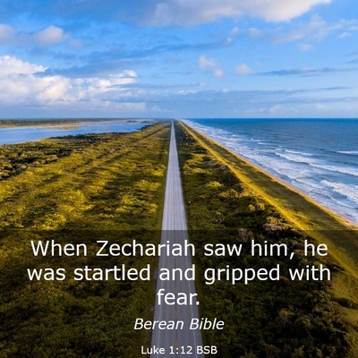 Picture 03 - Luke 1:12 BSB - When Zechariah saw him, he was startled and - Bible Verse Picture