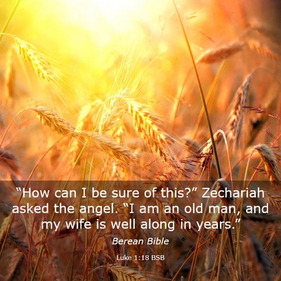 Picture 03 - Luke 1:18 BSB - “How can I be sure of this?” Zechariah asked - Bible Verse Picture