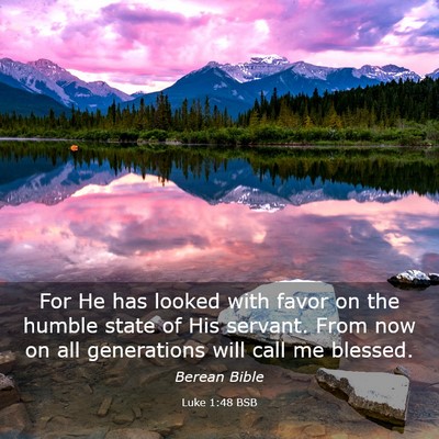 Picture 03 - Luke 1:48 BSB - For He has looked with favor on the humble state - Bible Verse Picture