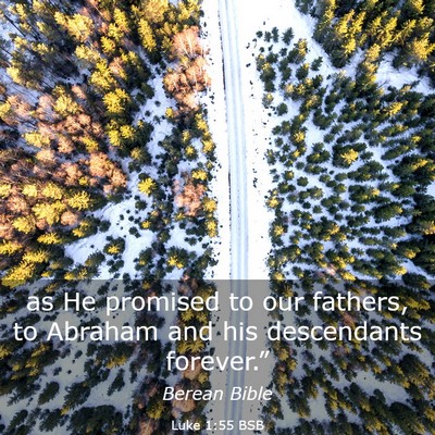 Picture 03 - Luke 1:55 BSB - as He promised to our fathers, to Abraham and his - Bible Verse Picture