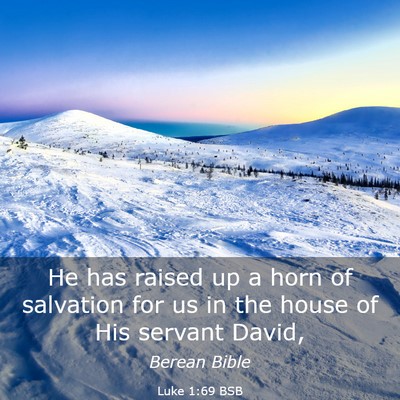 Picture 03 - Luke 1:69 BSB - He has raised up a horn of salvation for us in - Bible Verse Picture