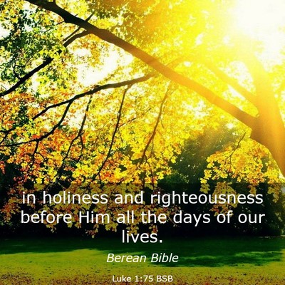 Picture 03 - Luke 1:75 BSB - in holiness and righteousness before Him all the - Bible Verse Picture