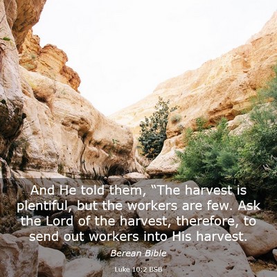 Picture 03 - Luke 10:2 BSB - And He told them, “The harvest is plentiful, - Bible Verse Picture