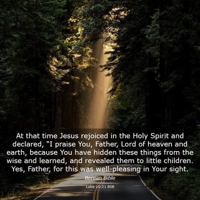 Picture 03 - Luke 10:21 BSB - At that time Jesus rejoiced in the Holy Spirit - Bible Verse Picture