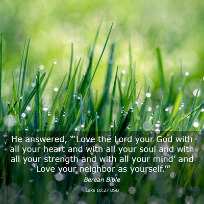 Picture 03 - Luke 10:27 BSB - He answered, “‘Love the Lord your God with - Bible Verse Picture