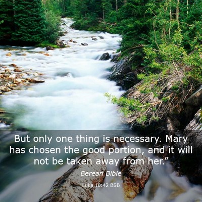 Picture 03 - Luke 10:42 BSB - But only one thing is necessary. Mary has chosen - Bible Verse Picture