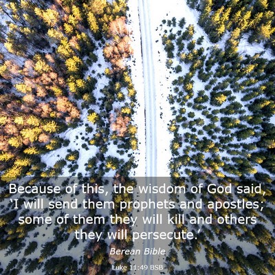 Picture 03 - Luke 11:49 BSB - Because of this, the wisdom of God said, ‘I - Bible Verse Picture