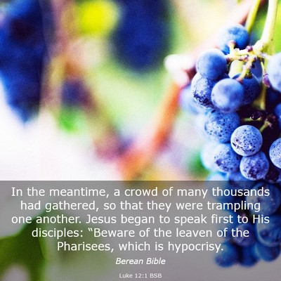 Picture 03 - Luke 12:1 BSB - In the meantime, a crowd of many thousands had - Bible Verse Picture