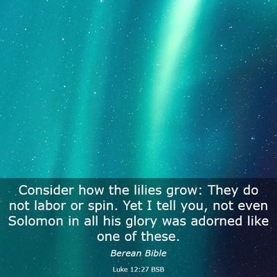 Picture 03 - Luke 12:27 BSB - Consider how the lilies grow: They do not labor - Bible Verse Picture