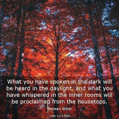 Picture 03 - Luke 12:3 BSB - What you have spoken in the dark will be heard in - Bible Verse Picture