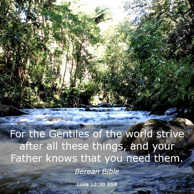 Picture 03 - Luke 12:30 BSB - For the Gentiles of the world strive after all - Bible Verse Picture