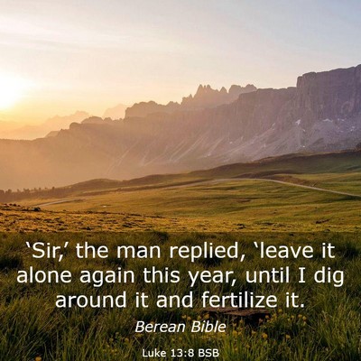 Picture 03 - Luke 13:8 BSB - ‘Sir,’ the man replied, ‘leave it alone - Bible Verse Picture