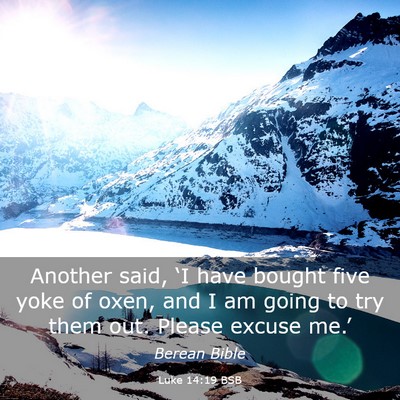 Picture 03 - Luke 14:19 BSB - Another said, ‘I have bought five yoke of oxen, - Bible Verse Picture