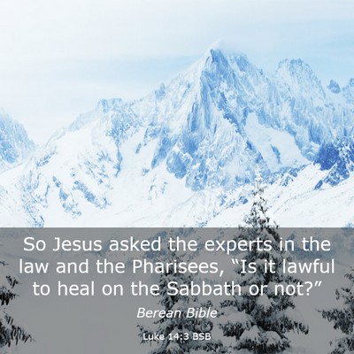 Picture 03 - Luke 14:3 BSB - So Jesus asked the experts in the law and the - Bible Verse Picture
