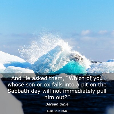 Picture 03 - Luke 14:5 BSB - And He asked them, “Which of you whose son or - Bible Verse Picture