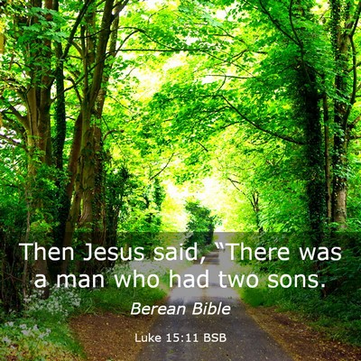 Picture 03 - Luke 15:11 BSB - Then Jesus said, “There was a man who had two - Bible Verse Picture