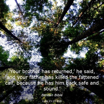 Picture 03 - Luke 15:27 BSB - ‘Your brother has returned,’ he said, ‘and - Bible Verse Picture
