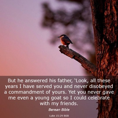 Picture 03 - Luke 15:29 BSB - But he answered his father, ‘Look, all these - Bible Verse Picture
