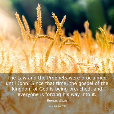 Picture 03 - Luke 16:16 BSB - The Law and the Prophets were proclaimed until - Bible Verse Picture
