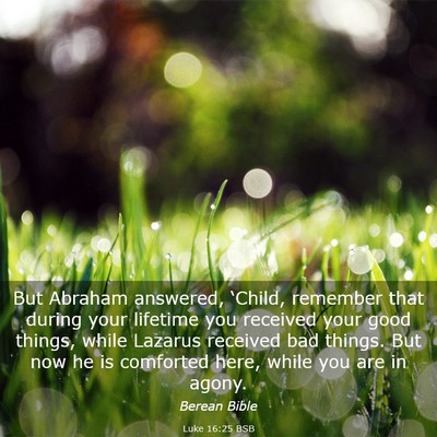 Picture 03 - Luke 16:25 BSB - But Abraham answered, ‘Child, remember that - Bible Verse Picture